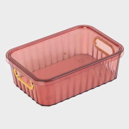Storage container with a lid "City", 25.5 × 18 × 8 cm, color mix-4
