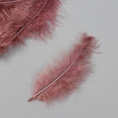Feather decorative goose downy "coffee" set 40 pcs h = 10-15 cm-2