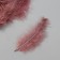 Feather decorative goose downy "coffee" set 40 pcs h = 10-15 cm