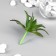 Artificial succulent for creating the florarium "Aloe Tree" 14x7.5x7.5 cm
