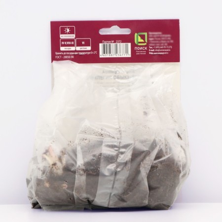 Aquilegia Ordinary Winks Dubl BLU End White, Rr. I, 1 pc, Spring 2025-1