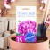 Seeds of indoor flowers Pelargonium "Violet", 4 pcs.