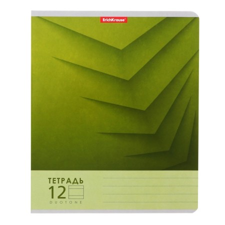 Notebook of 12 sheets in the Erichkrause "Duotone Next", the cover coated cardboard, an offset block 100% whiteness, mix-9