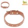 Cleaned -leather riveted collar, 46 x 1.9 cm, mix of flowers
