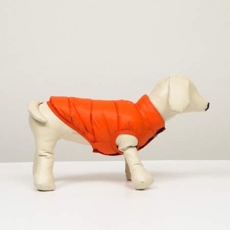 Dog jacket two -sided with print, size 8 (ds 23 cm, og 30, og 22 cm), coral-1