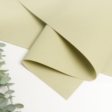 Foamiran Iranian 0.8-1 mm (pistachio 196) 60x70 cm