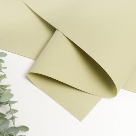 Foamiran Iranian 0.8-1 mm (pistachio 196) 60x70 cm