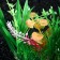Artificial aquarium plant, 12 cm