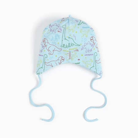 A cap for a boy, the color of the blue/dinosaurs, size 46-48-2