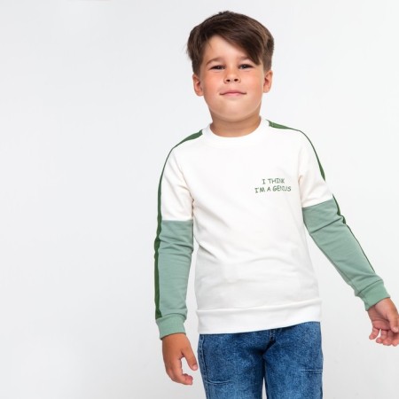 Sweatshirt for a boy, the color is gray-green, height 110 cm