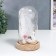 Souvenir Polystone "White Swan" Lumining flask 15.5x9.5x9.5 cm