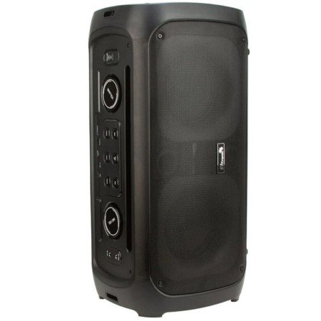 Column 06 "(20-34 Dance Box 300) Dynamics 2pcs/6.5" Eltronic with TWS-1
