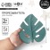 Silicone teether "Tropics", green color, mum & baby