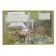 All the secrets of dinosaurs. Encyclopedia with augmented reality