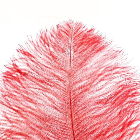 Feather for decor, length: from 45 to 60 cm, burgundy color-1