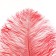 Feather for decor, length: from 45 to 60 cm, burgundy color