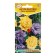 Flower seeds DATURE Tensor "Clating Bells" mixture, 3 pcs