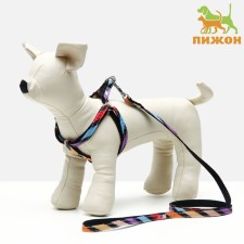 The ammunition set is two-layer, size S, leash 120 x 1 cm, Osh 24-38 cm, OG 29-41 cm, multi-colored