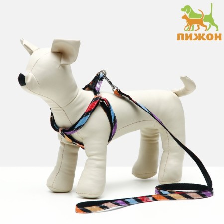 The ammunition set is two-layer, size S, leash 120 x 1 cm, Osh 24-38 cm, OG 29-41 cm, multi-colored