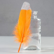 A set of goose feathers 15-20 cm, 10 pcs, orange with silver crumb