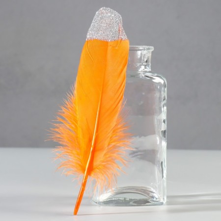 A set of goose feathers 15-20 cm, 10 pcs, orange with silver crumb