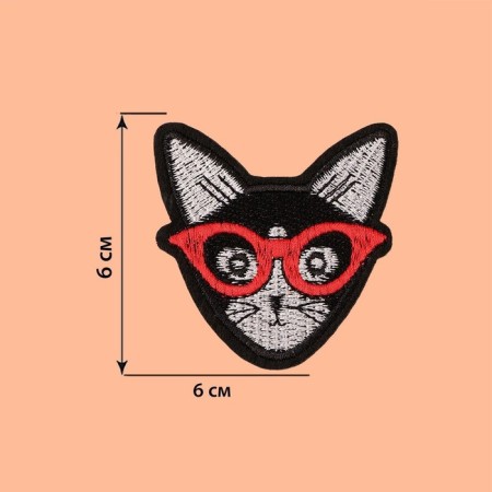 Thermal appliance "Cat with glasses", 6 × 6 cm, black color-1