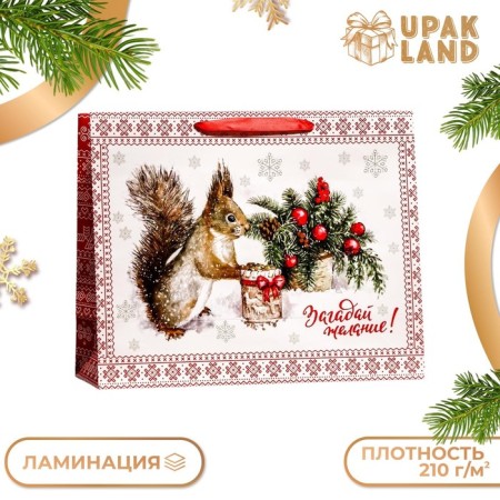 Laminated horizontal "Squirrel!" Packet, 49 x 40 x 19 cm