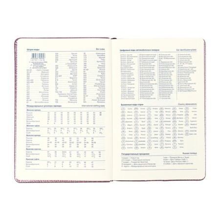 The diary is undathed, PVC cover, A5, 140 liter format, cell, metallic gold-8