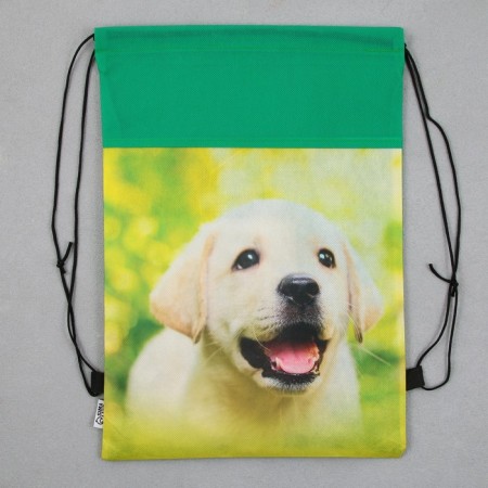 Spring for shoes "Sweet puppy" non -discharge canvas, size 30 x 40 cm-1