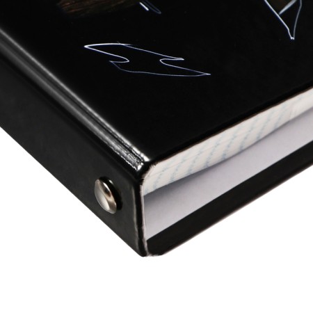 Notebook on rings of 80 sheets in the cage "Dangerous", with shift block, solid cover, glossy lamination, block 60 g/m2-2