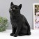 The piggy bank "Cat black color" is 31.5 cm height, width 16 cm, length 24 cm.