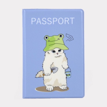 Cover for passport, blue color