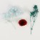 Set of dried flowers "Northern Dawn"