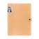 Folder-carte, A4, 4 departments, 600 μm, Erichkrause "Matt Manga", on the button, embossing "Sand", mix