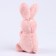 Set with a soft toy "Bunny", 8 items