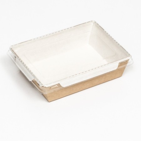 Container with a flat lid, craft, 0.5 l, 16 x 12 x 4.5 cm-1