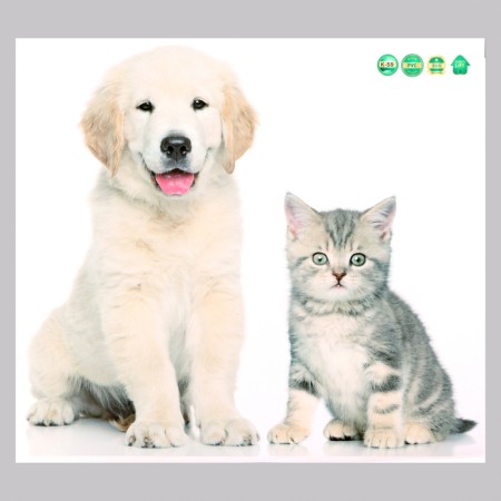 Stick 3D Interior pets 45*40cm