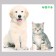 Stick 3D Interior pets 45*40cm