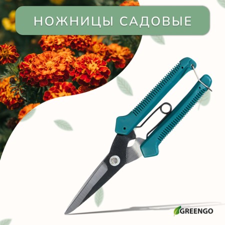 Garden scissors, 7 "(18 cm), with plastic handles, Greengo