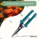 Garden scissors, 7 "(18 cm), with plastic handles, Greengo