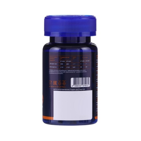 Chaga 600 mg GLS for the gastrointestinal tract, 60 capsules of 400 mg-1
