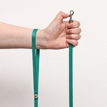 Kapron leash, 1.6 m x 1 cm, green-4