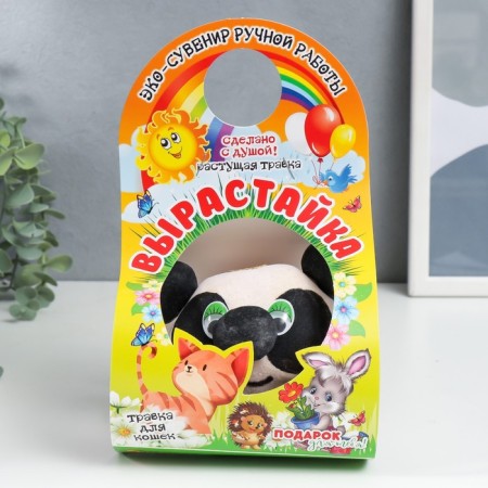 Growing gift grass growing "Panda" mix-5