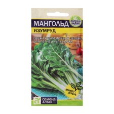 Seeds Mangold 