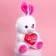 Soft toy "You conquered my heart", Bunny, Mix color