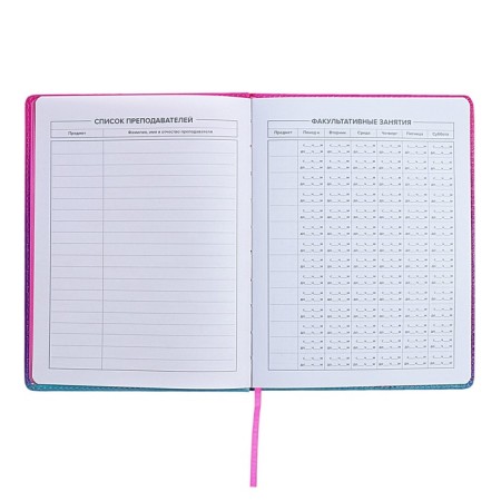 Universal Grade 1-11 Diary, 48 sheets "Chibi", solid cover of artificial leather, lies, universal cheat sheet, block 80 g/m2-4