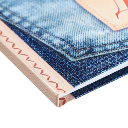 Universal diary for grades 1-11, "kittens in pockets", solid cover 7BC, glossy lamination, 40 sheets-4