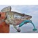 Vibro -ligs edible LJ Pro Series Minnow 5.5in (13.90)/T05 4pcs.
