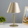 Table lamp Oliver 1x15W E27 lemon/champagne 25x25x40cm Risalux