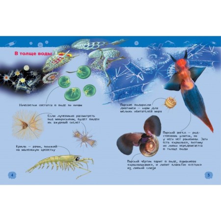 Encyclopedia for kindergarten "Underwater World"-3